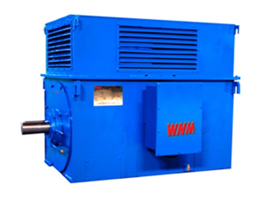 皖南高壓電機(jī) 皖南高壓電機(jī)