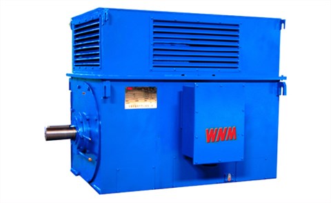 Y系列中型高壓高效電動機(jī)