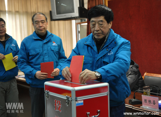 皖南電機(jī)陳根喜、管兵在投票現(xiàn)場(chǎng)